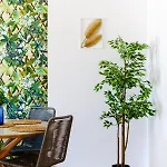 Appartement Boavista